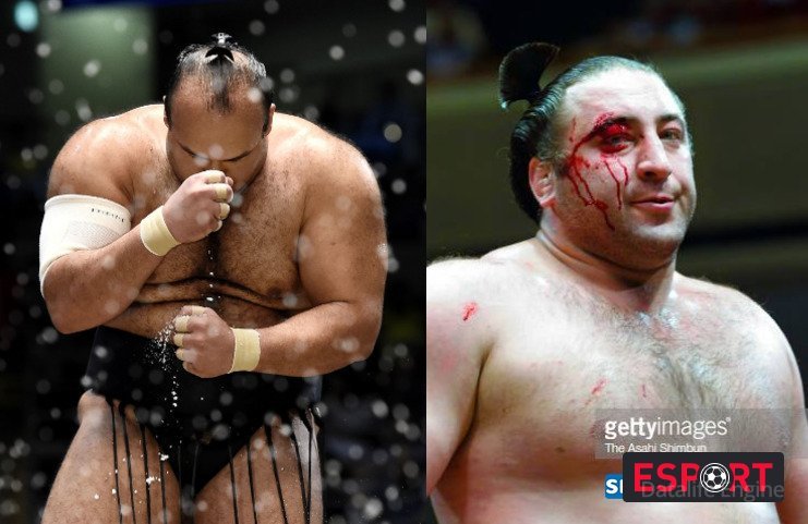 რა მოხდა მაშინ, როდესაც ტოჩინოშინი ფიზიკურად უძლიერეს ეგვიპტელ სუმოისტს დაუპირისპირდა (ვიდეო)