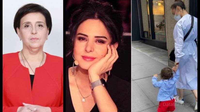 "დიახ, სააკაშვილია ბავშვი, მერე ? ! ნაძირალაა ის ვინც საზღვარზე.." - რა განცხადებას აკეთებს ელისო კილაძე