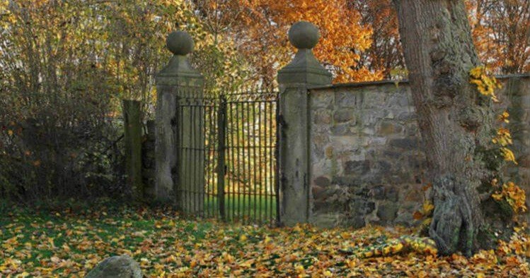 თუ ამ ფოტოზე ქალს იპოვით, იცოდეთ, რომ თქვენი IQ საშუალოზე მაღალია