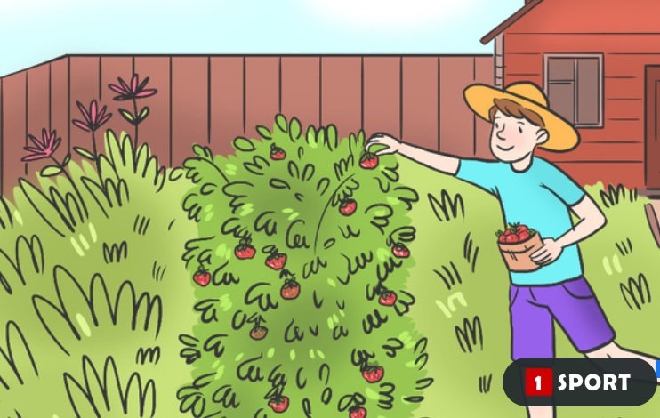 10 ადამიანიდან მხოლოდ 1 ხვდება ამას - რა შეცდომას ხედავთ ფოტოზე დაწერეთ კომენტარებში