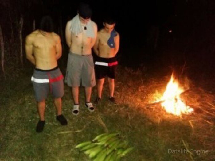 განსაკუთრებულად დიდი ოდენობის ჭყინტი სიმინდის უკანონო მოტეხვა, რეალიზაცის საქმე გახსნილია