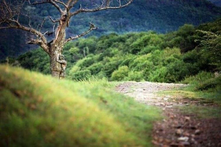 ამ ფოტოზე 2 ქალს თუ იპოვით 5 წამში, იცოდეთ, რომ თქვენი IQ საშუალოზე მაღალია