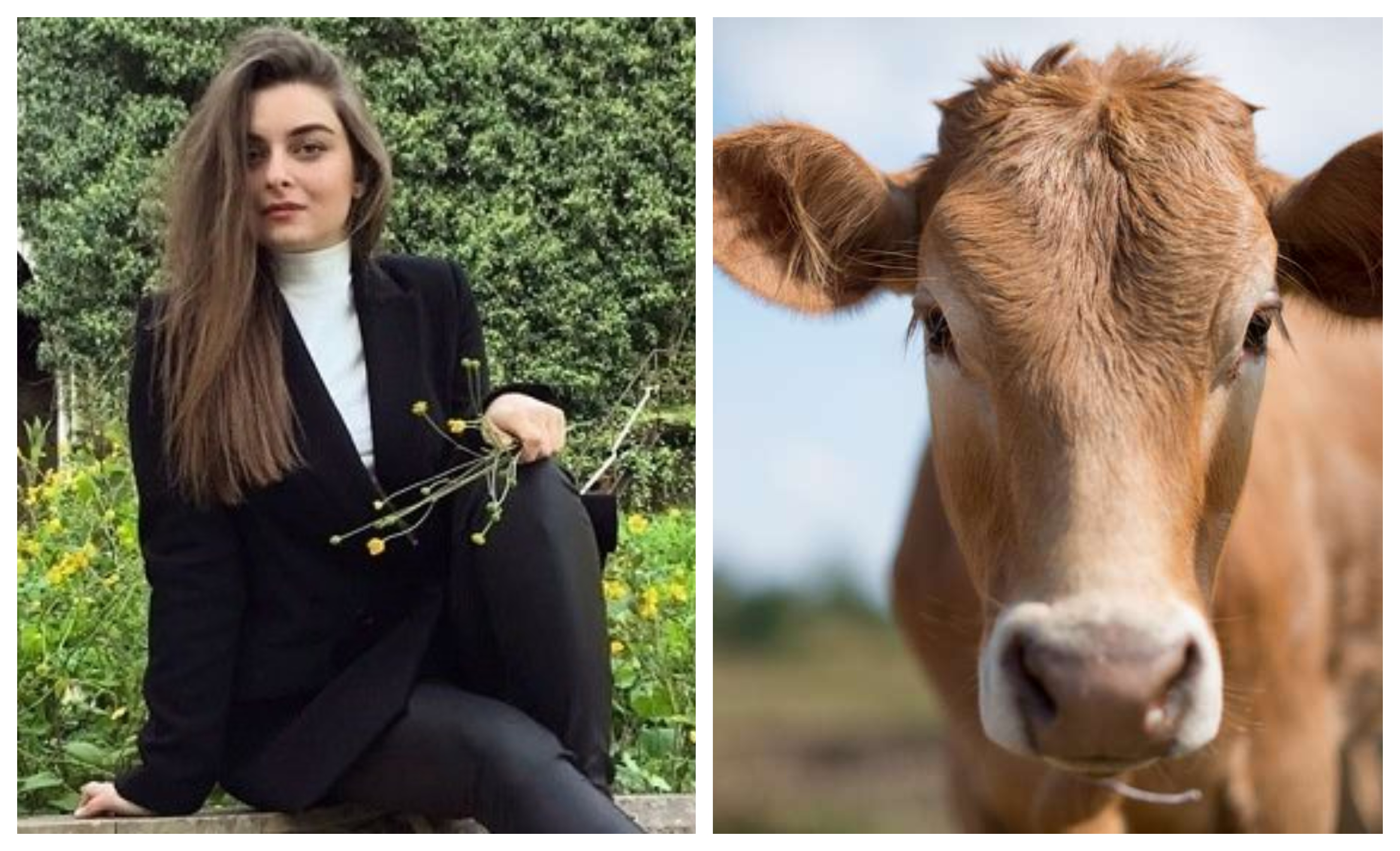 ”სოფლელი ვარ, ძროხაც მომიწველია და  რა მერე? ახლა ისეთ რამეს ვიტყვი, რომ ეს ყველამ უნდა იცოდეს”