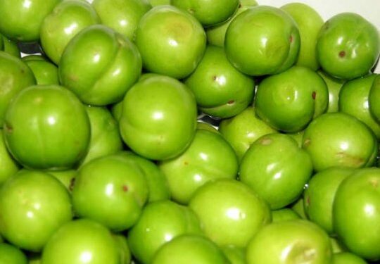 1 კგ ალუჩის ფასი 250 ლარს შეადგენს – რა ღირს იმპორტირებული თუთა და საზამთრო?