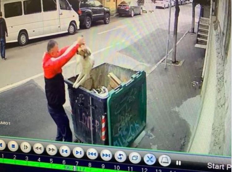 მეგობრებო დაგვეხმარეთ ამ სადისტის პოვნაში! ნაავარიები ძაღლი სანაგვეში ჩააგდო! - სოც ქსელში მიმართვა ვრცელდება