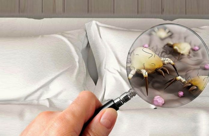 საწოლზე საგარეო ტანსაცმლით დაჯდომის უფლება რატომ არ უნდა მივცეთ არავის