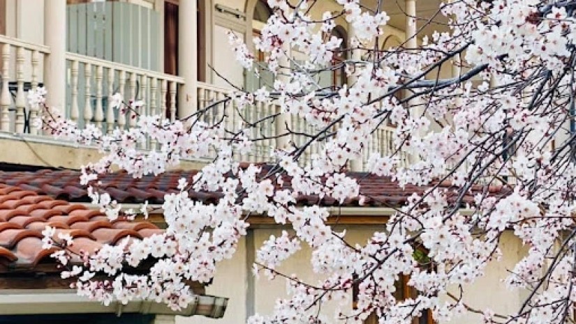 +27 გრადუსი, ტემპერატურა მკვეთრად მოიმატებს - ერთი თვის განახლებული ამინდის პროგნოზი