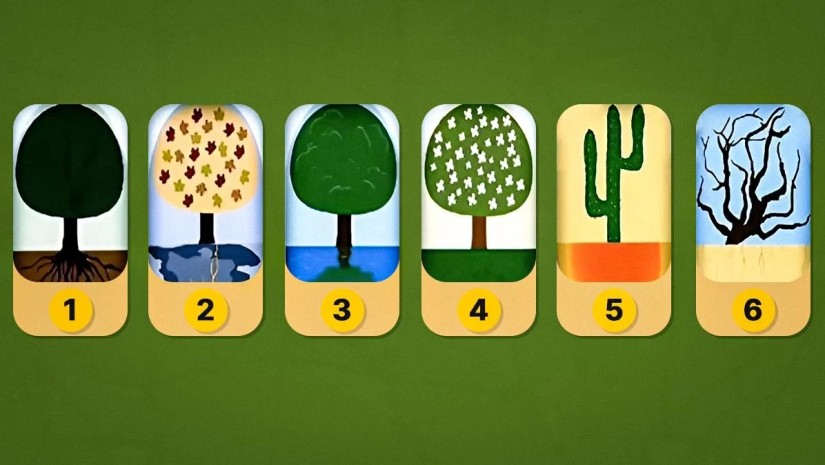 აირჩიეთ ერთი ხე და გაიგეთ, როგორ ხედავთ სამყაროს - ტესტი