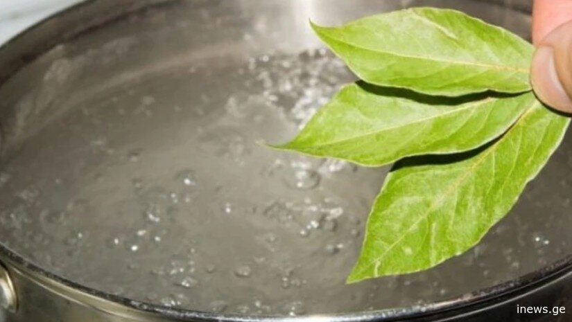 დაფნა და ნიახური სახსრებისთვის - სახსრების მკურნალობის ხალხური მეთოდი